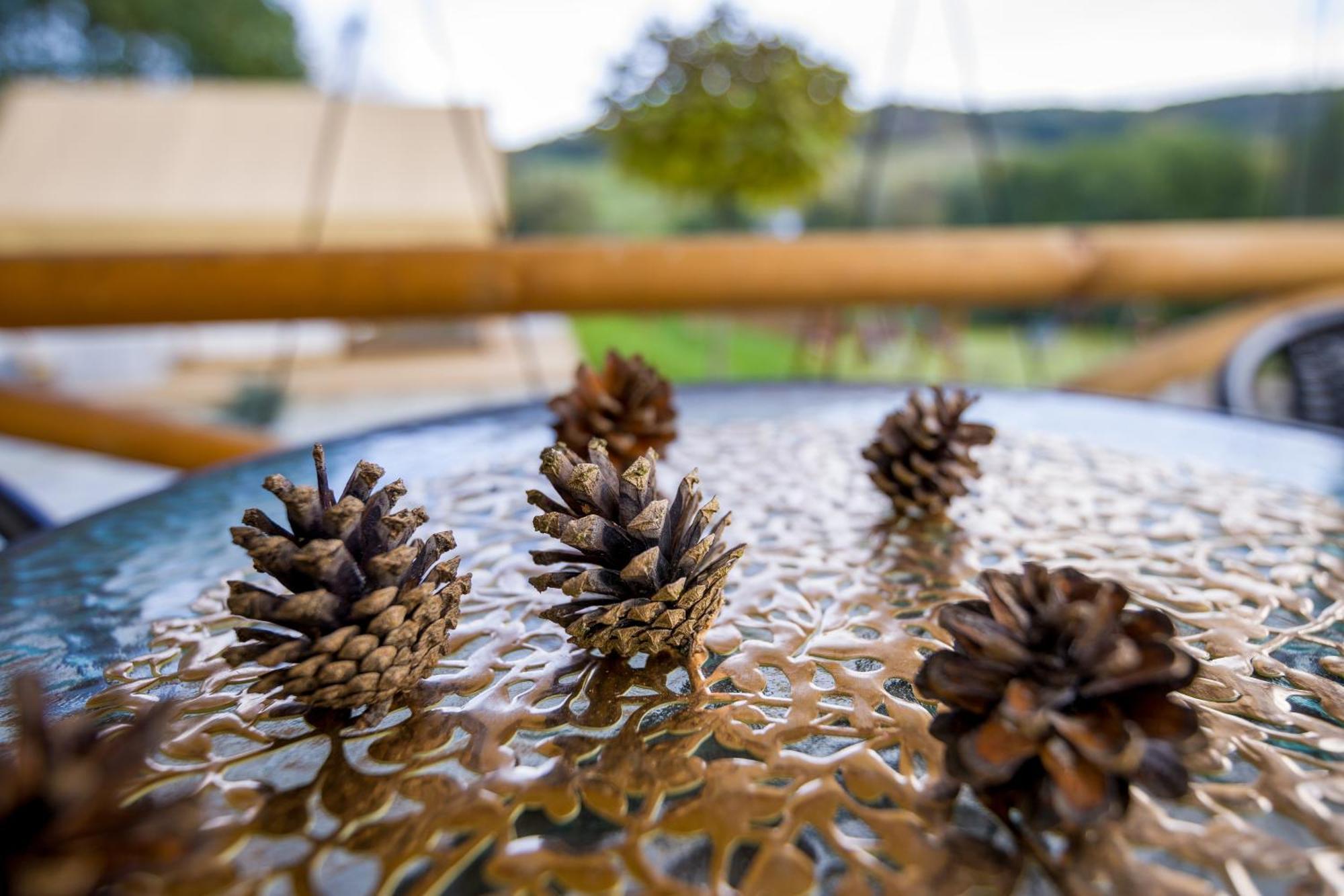 Glamping Pod Gwiazdami Pietrusza Wola Hotel Luaran gambar